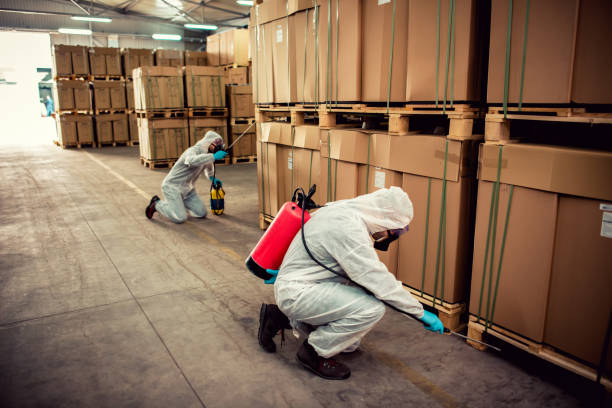 Best Flea Control Services  in Rossmoor, NJ