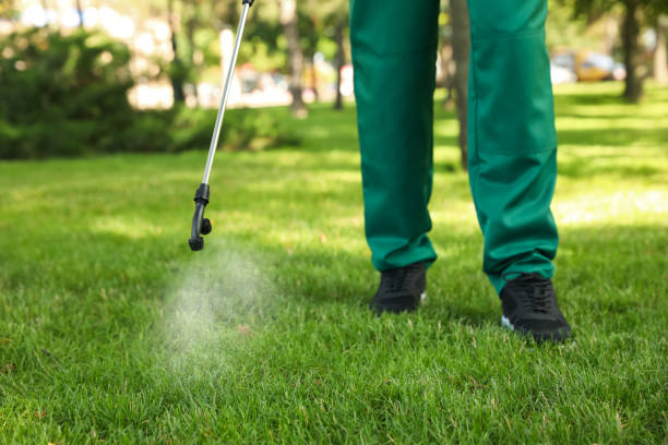 Wasp Removal Services in Rossmoor, NJ