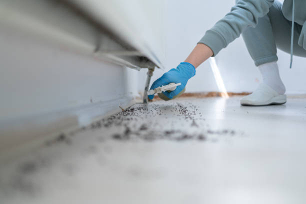 Reliable Rossmoor, NJ Pest Control Solutions
